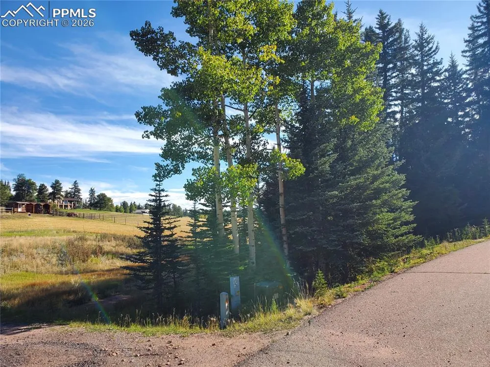 309 Pinaceae Heights Divide, CO 80814