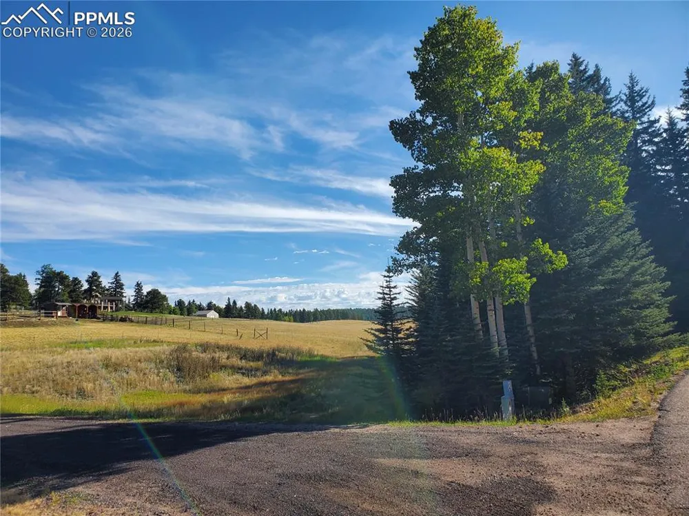 309 Pinaceae Heights Divide, CO 80814