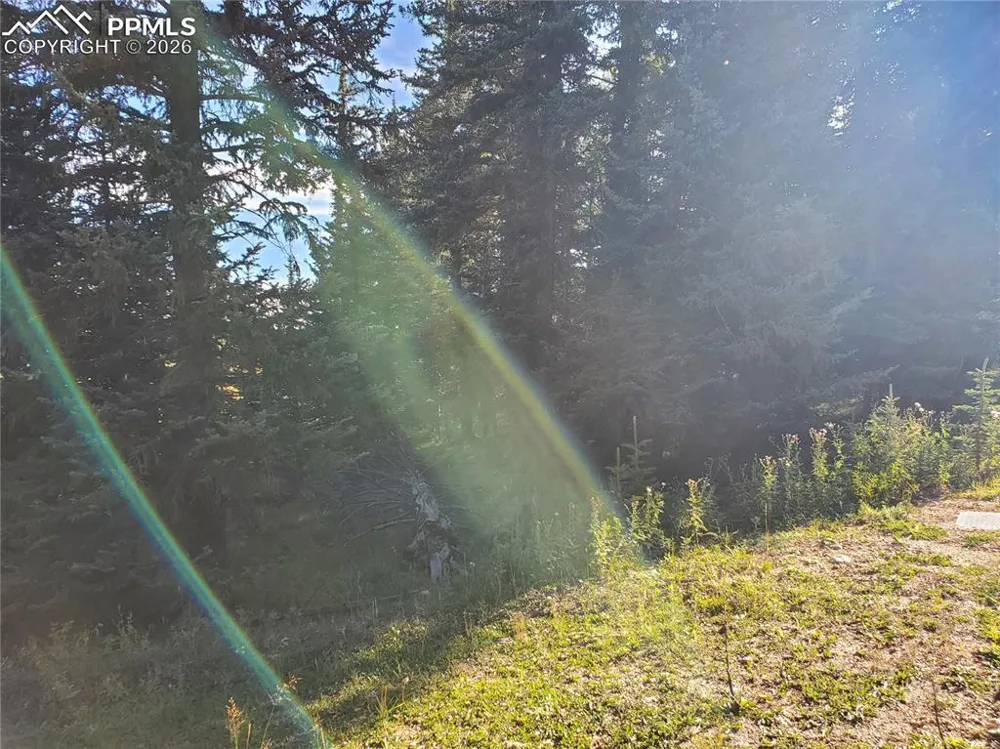 309 Pinaceae Heights Divide, CO 80814