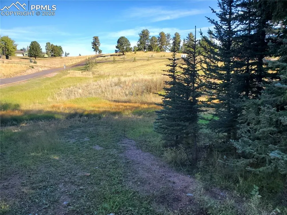 309 Pinaceae Heights Divide, CO 80814
