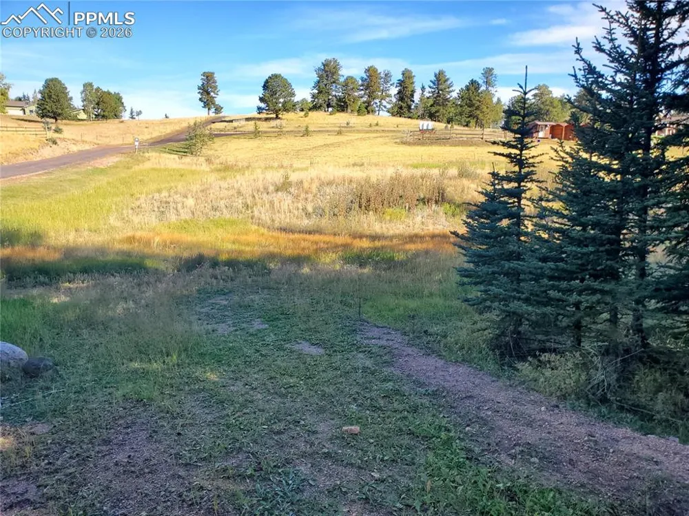 309 Pinaceae Heights Divide, CO 80814