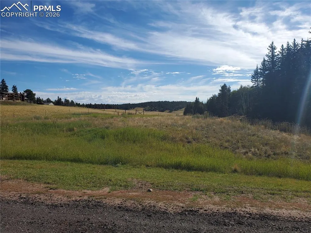 309 Pinaceae Heights Divide, CO 80814