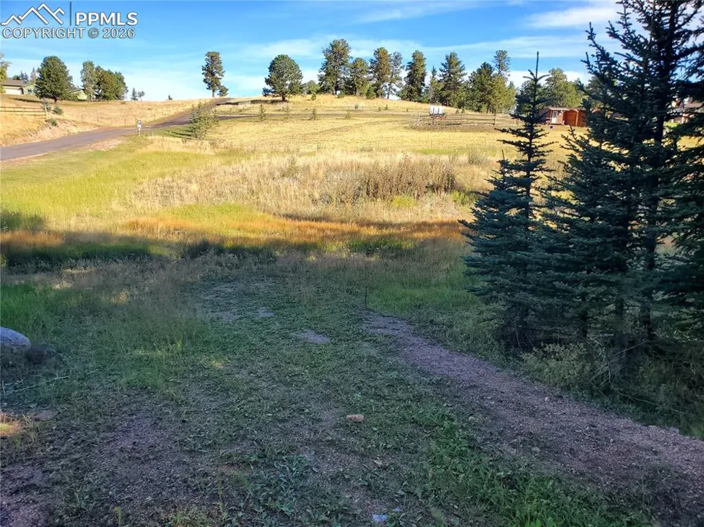 309 Pinaceae Heights Divide, CO 80814