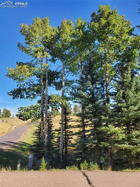 309 Pinaceae Heights Divide, CO 80814