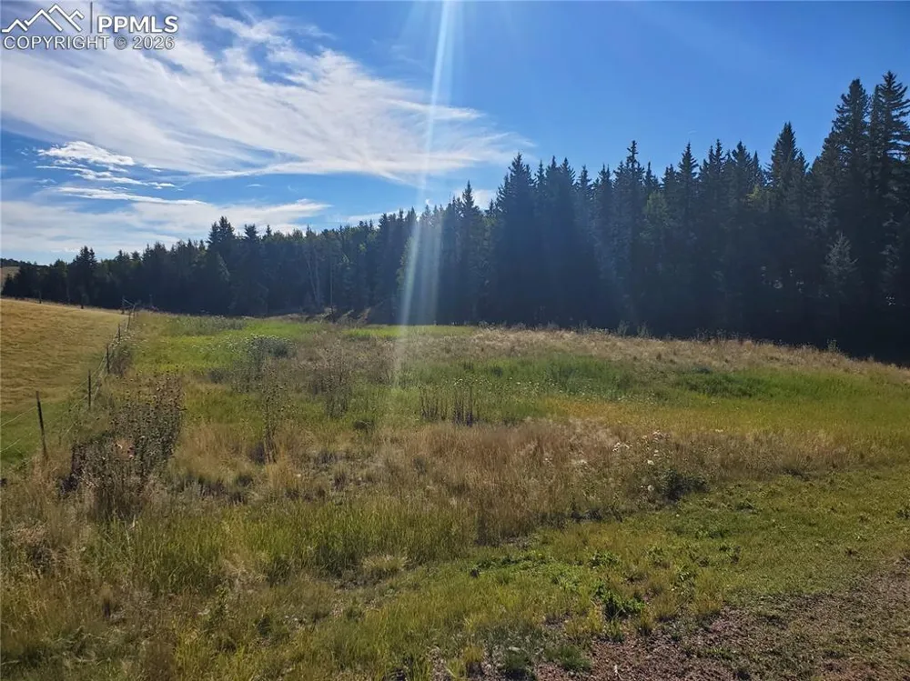 309 Pinaceae Heights Divide, CO 80814
