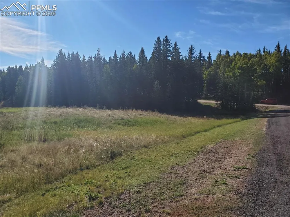 309 Pinaceae Heights Divide, CO 80814