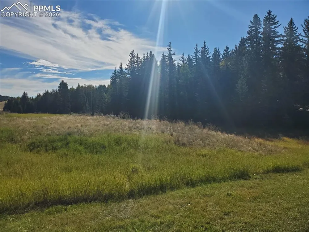309 Pinaceae Heights Divide, CO 80814