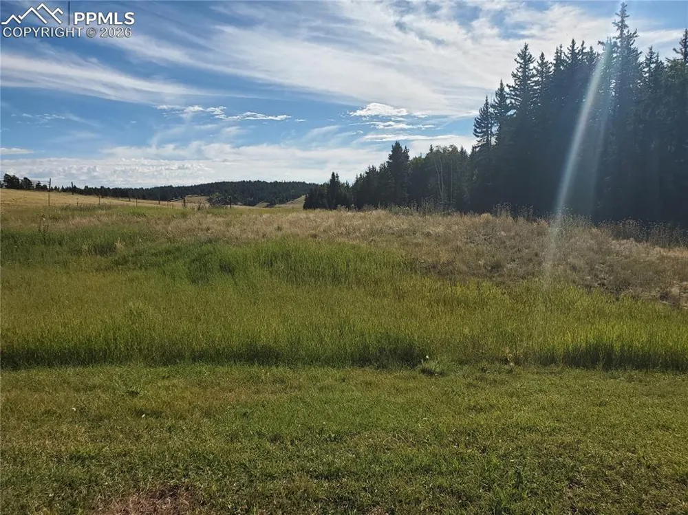 309 Pinaceae Heights Divide, CO 80814