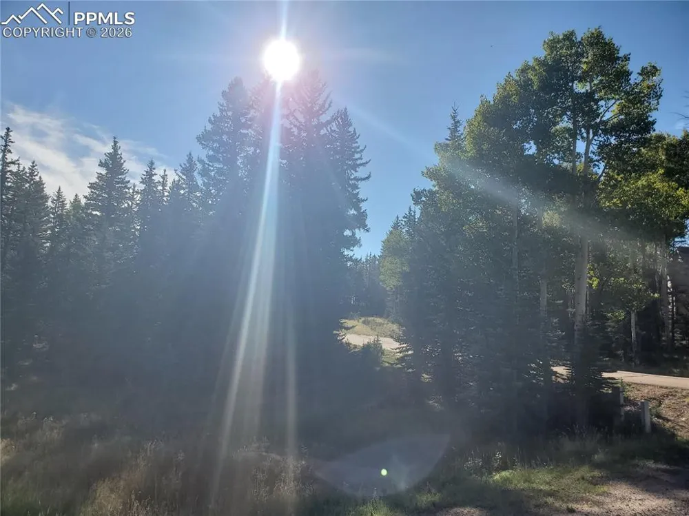 309 Pinaceae Heights Divide, CO 80814