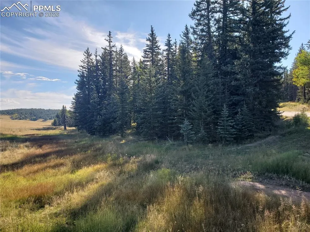 309 Pinaceae Heights Divide, CO 80814