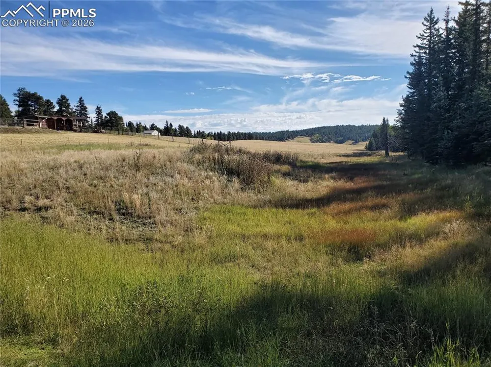 309 Pinaceae Heights Divide, CO 80814