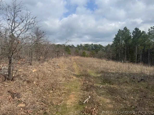 E 1732 ROAD Clayton, OK 74536