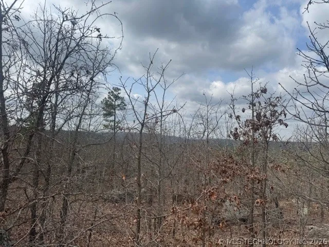 E 1732 ROAD Clayton, OK 74536