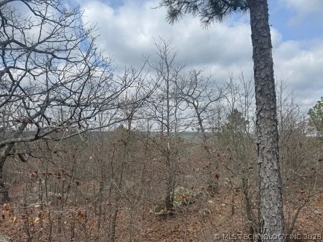 E 1732 ROAD Clayton, OK 74536