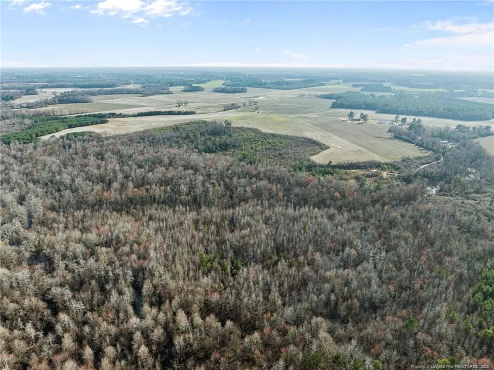 2876 Dunn Road Roseboro, NC 28382
