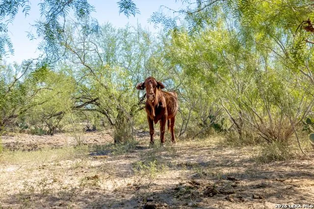 SH 359 359 Laredo, TX 78043