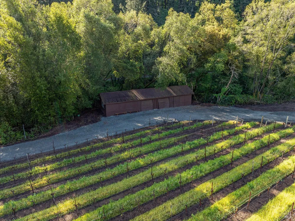 1626 Whitehall Lane St. Helena, CA 94574