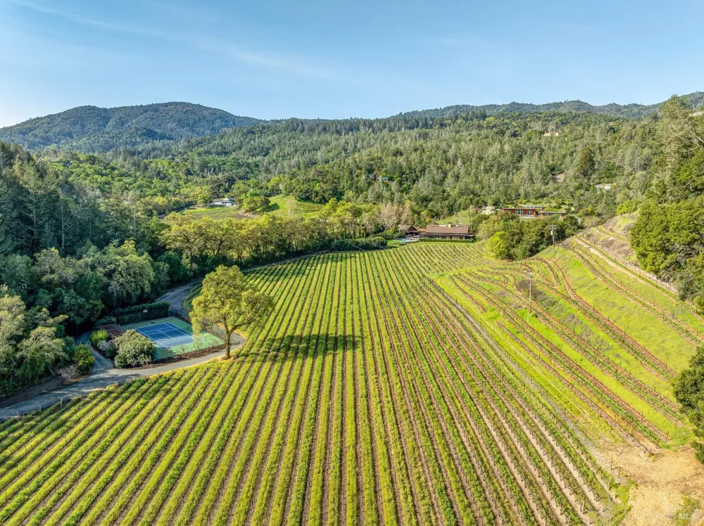 1626 Whitehall Lane St. Helena, CA 94574