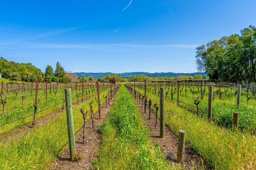1626 Whitehall Lane St. Helena, CA 94574