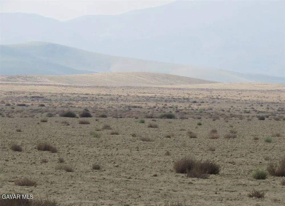 04347011002 Sunflower Avenue Lost Hills, CA 93249