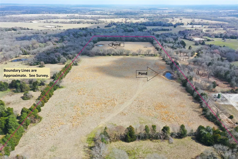 423 State Highway 75 S Fairfield, TX 75840