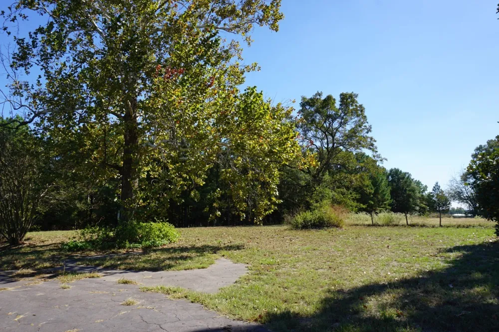Plainview Road Naples, TX 75571