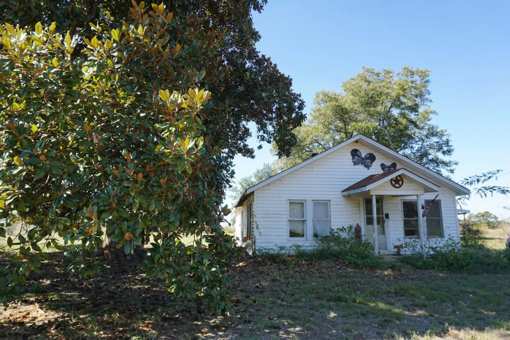 Plainview Road Naples, TX 75571