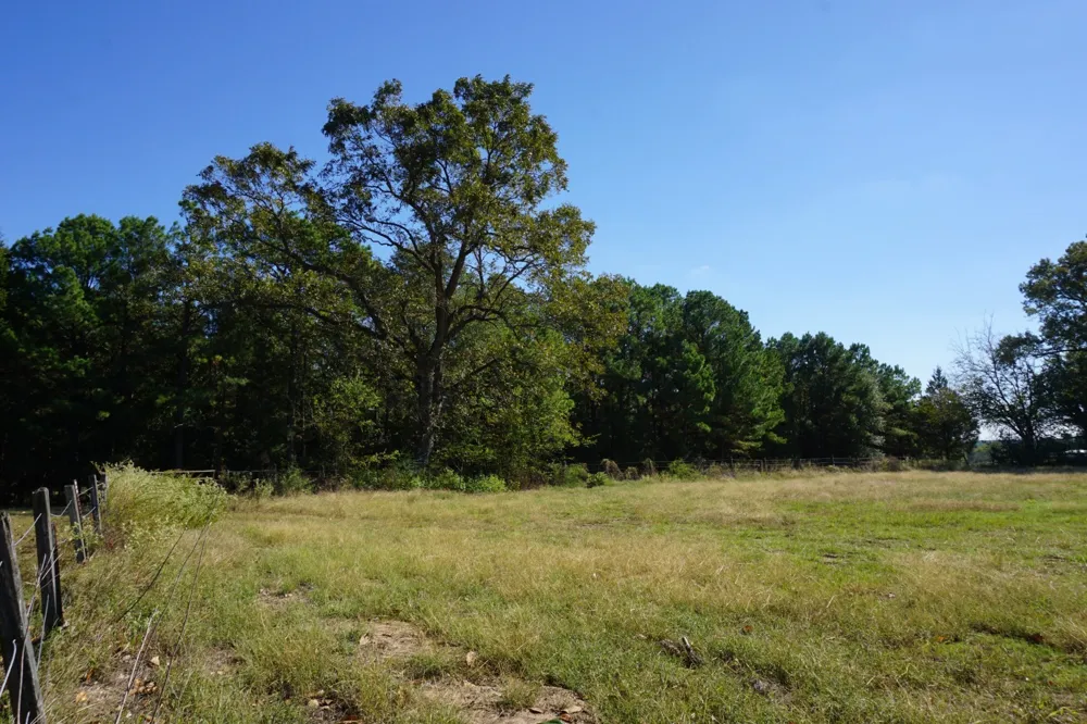 Plainview Road Naples, TX 75571