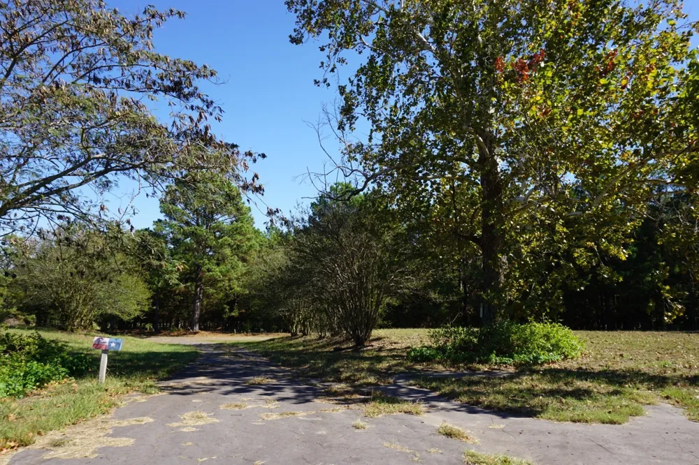 Plainview Road Naples, TX 75571