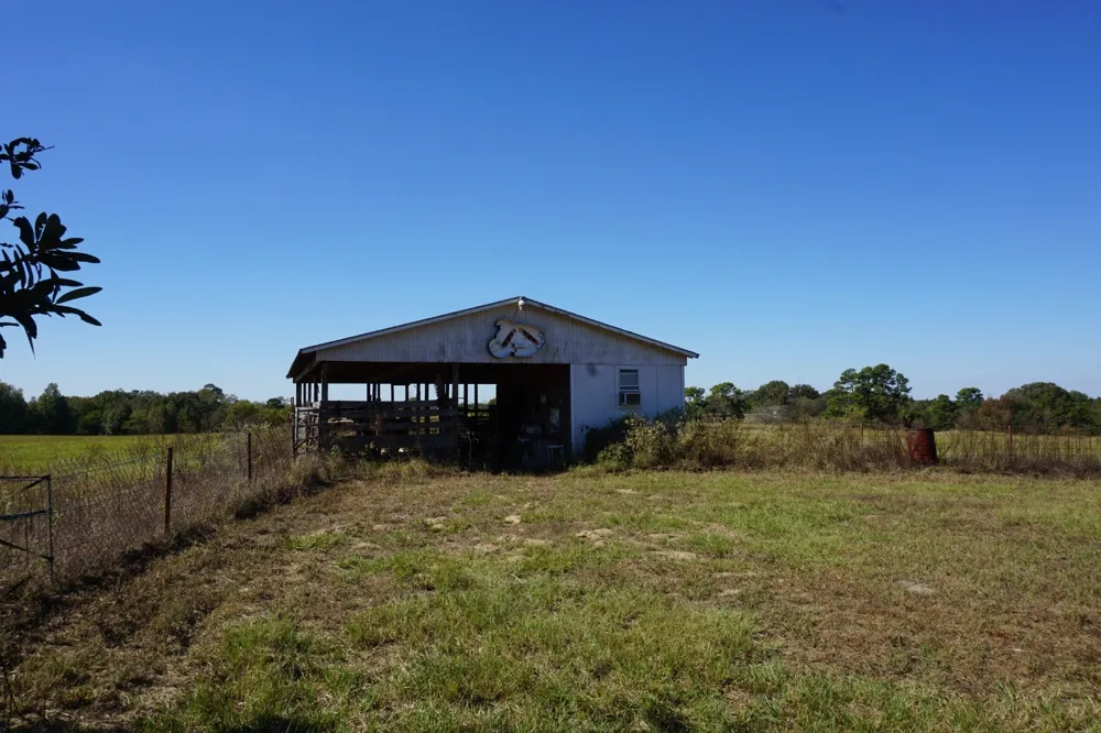 Plainview Road Naples, TX 75571