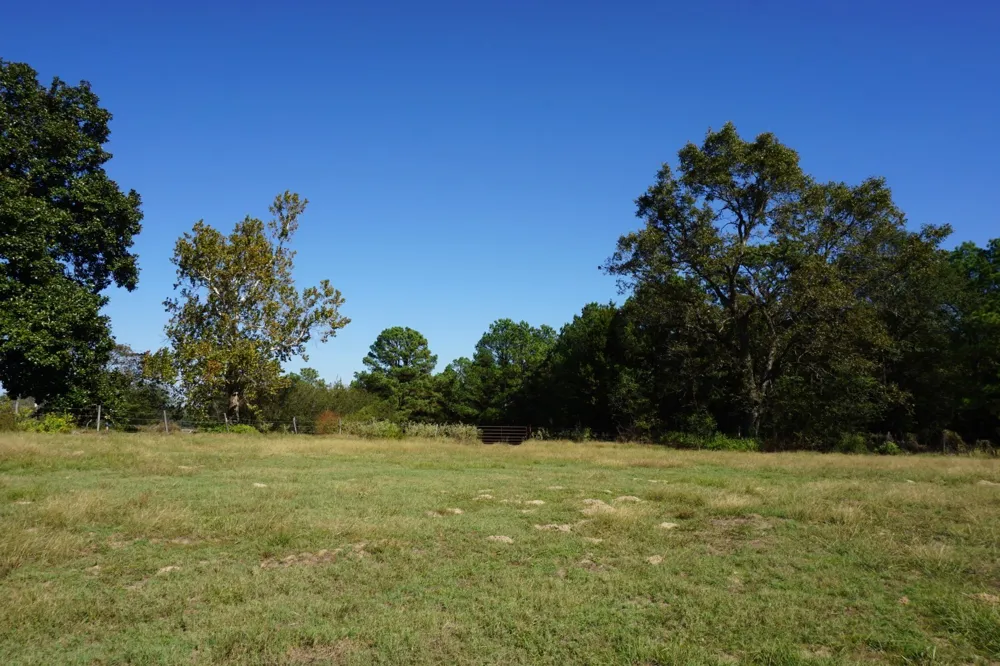 Plainview Road Naples, TX 75571