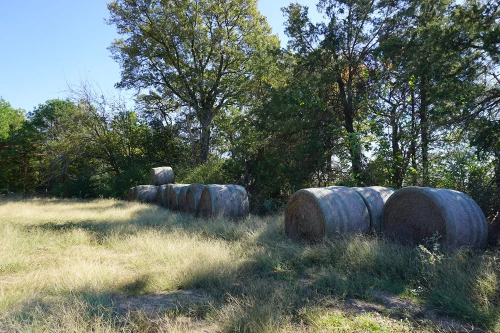 Plainview Road Naples, TX 75571