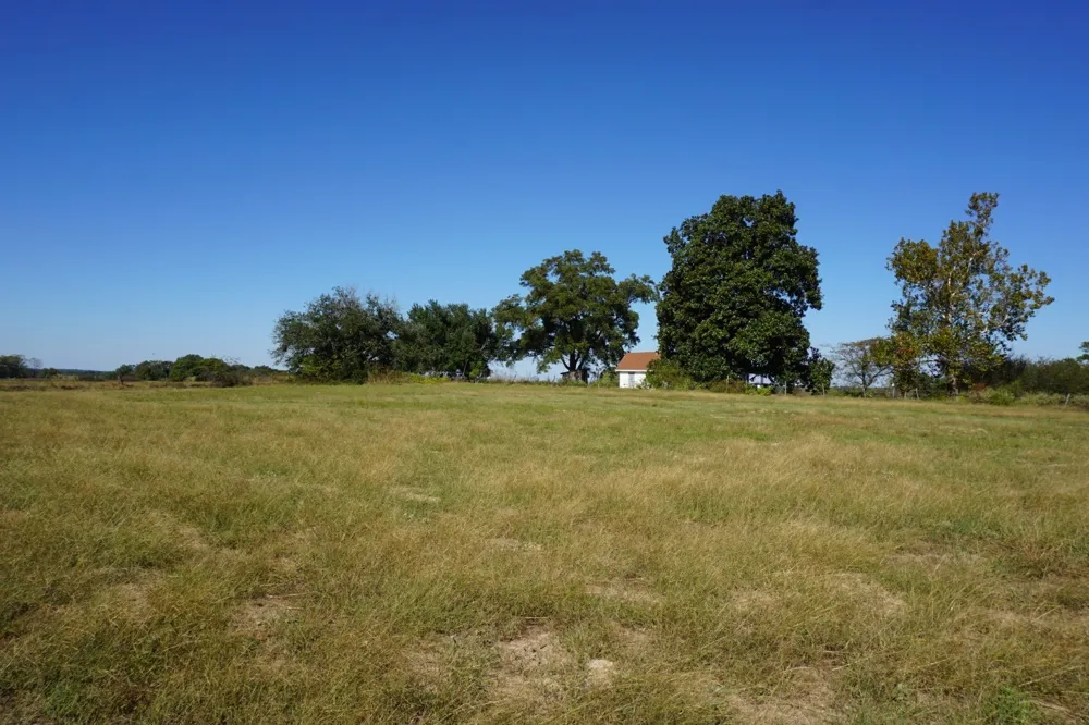 Plainview Road Naples, TX 75571