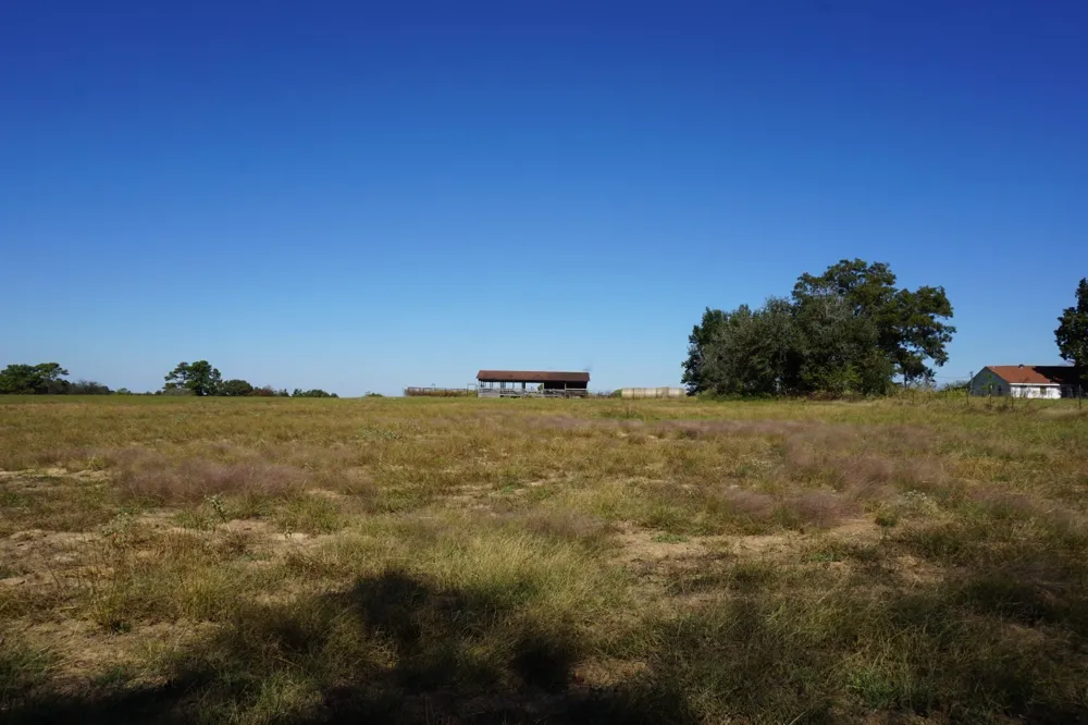 Plainview Road Naples, TX 75571
