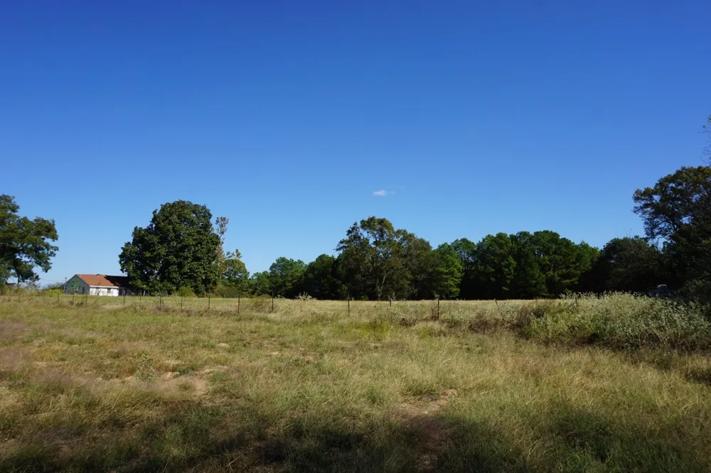 Plainview Road Naples, TX 75571