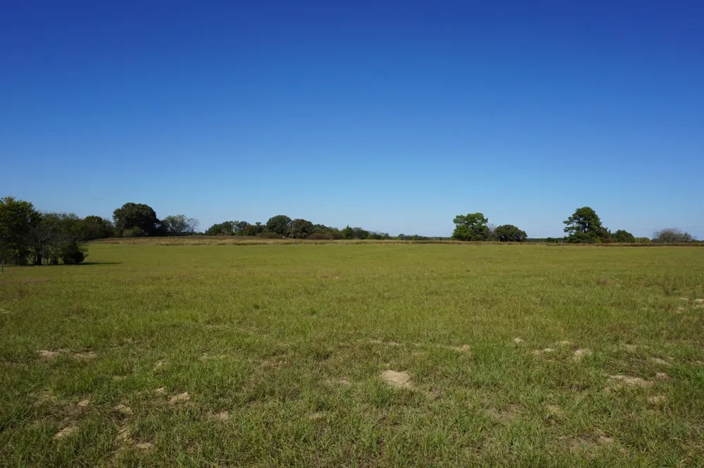 Plainview Road Naples, TX 75571