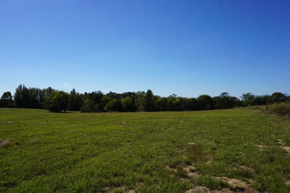 Plainview Road Naples, TX 75571