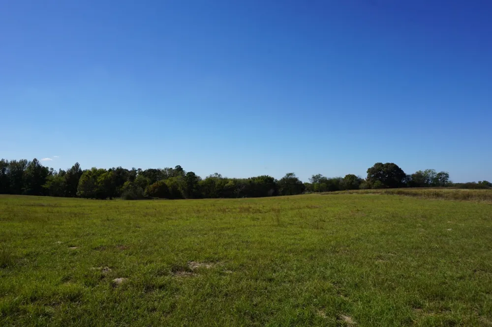 Plainview Road Naples, TX 75571