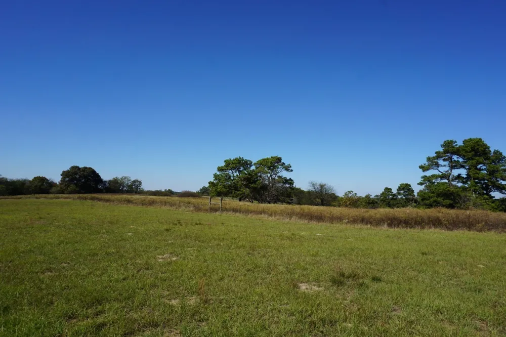 Plainview Road Naples, TX 75571