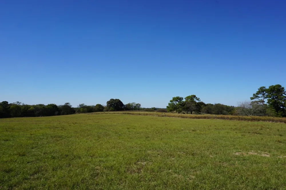 Plainview Road Naples, TX 75571