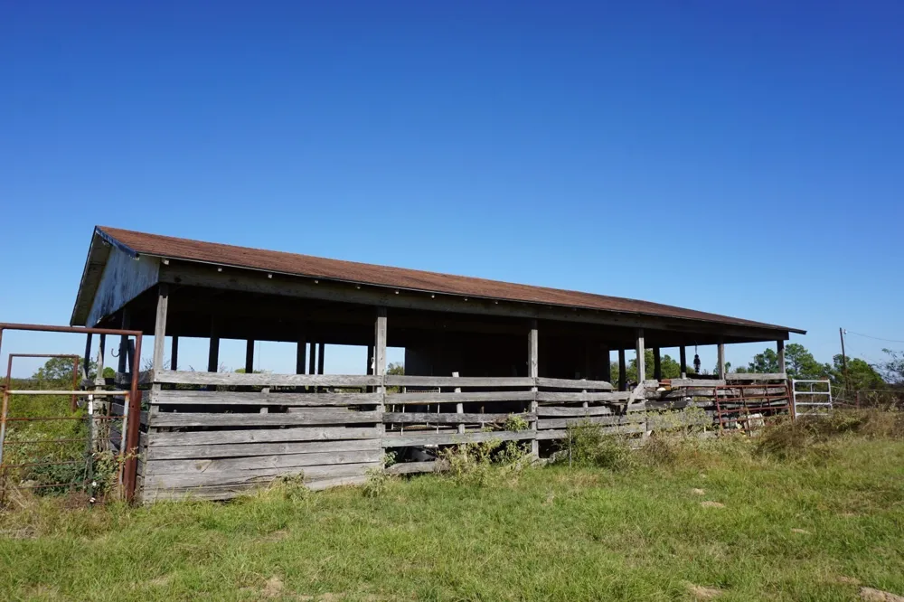 Plainview Road Naples, TX 75571
