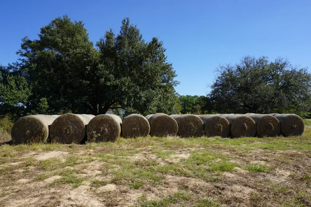 Plainview Road Naples, TX 75571