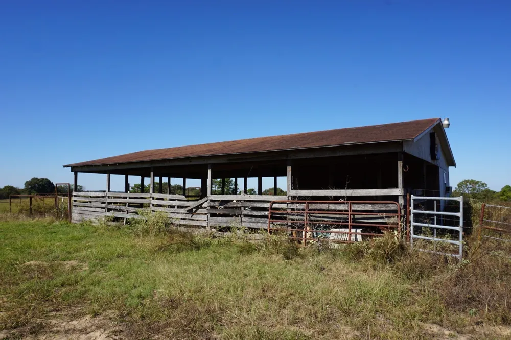 Plainview Road Naples, TX 75571