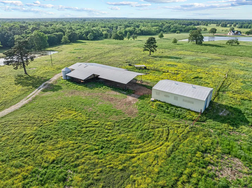 1203 County Road 3100 Clarksville, TX 75426