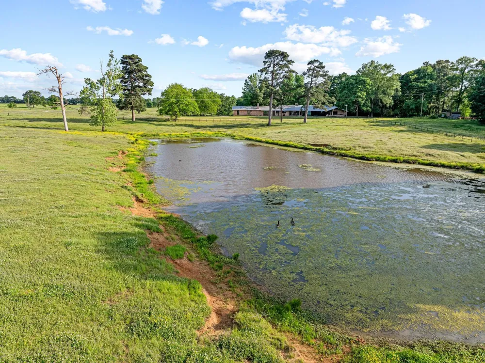 1203 County Road 3100 Clarksville, TX 75426