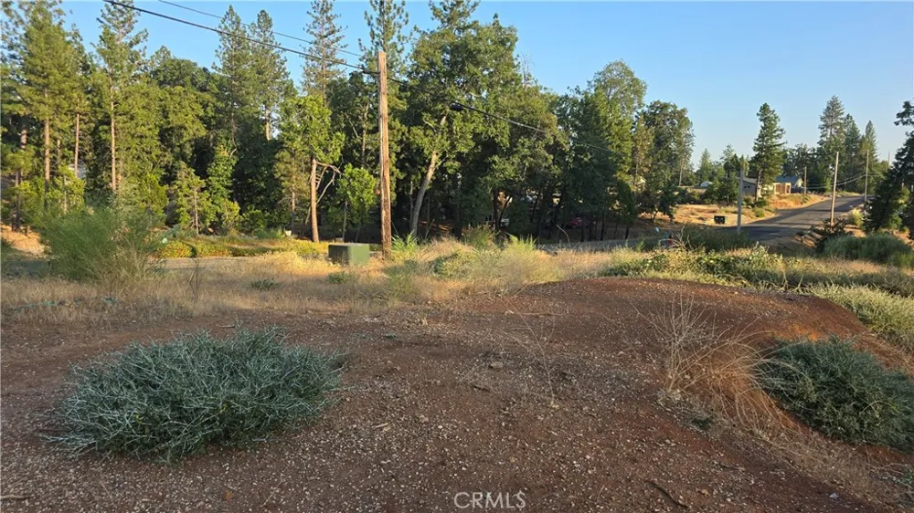 13597 W Park Drive Magalia, CA 95954