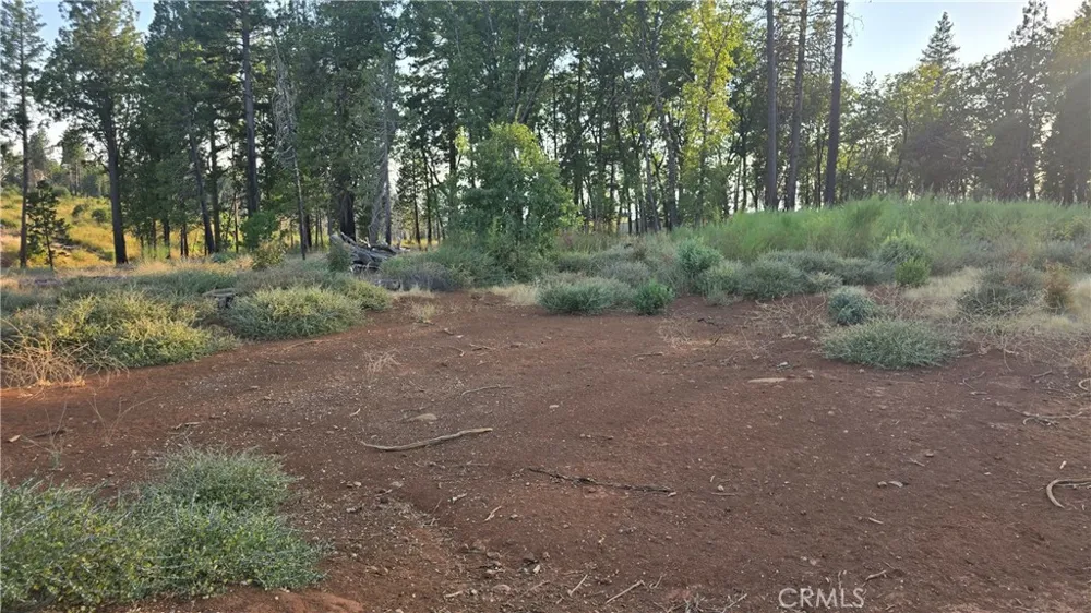 13597 W Park Drive Magalia, CA 95954