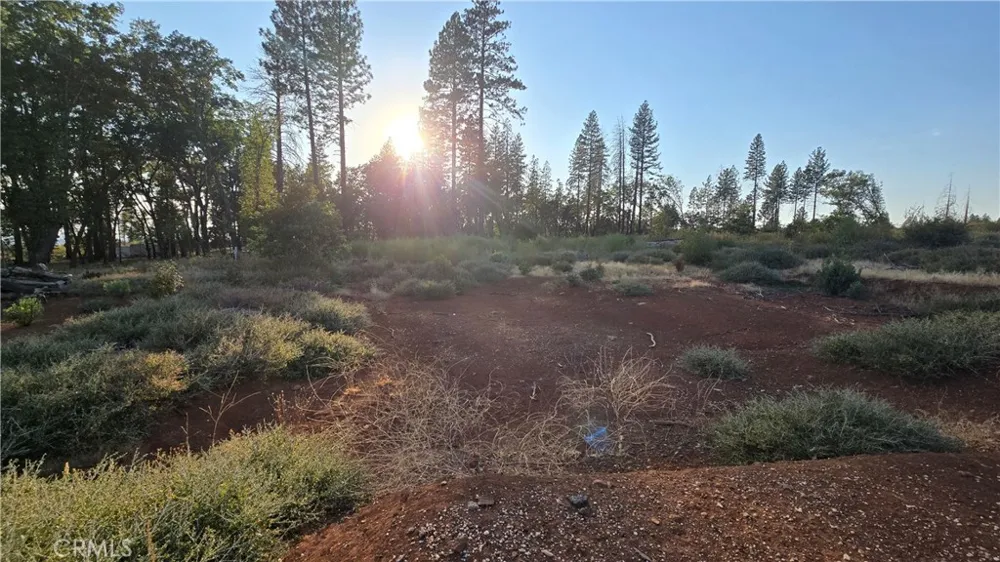 13597 W Park Drive Magalia, CA 95954