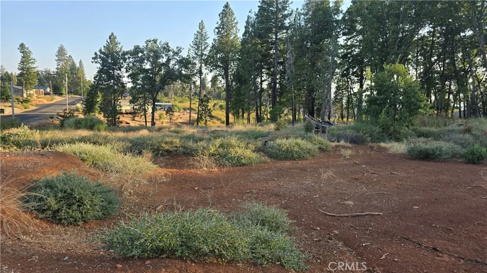 13597 W Park Drive Magalia, CA 95954