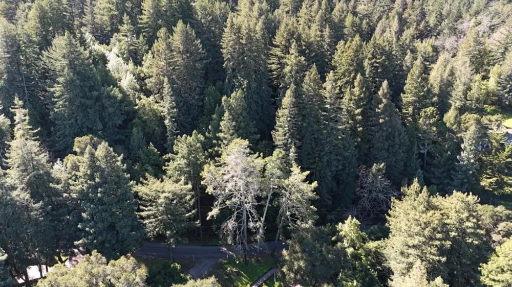 559 Patrol Road Woodside, CA 94062